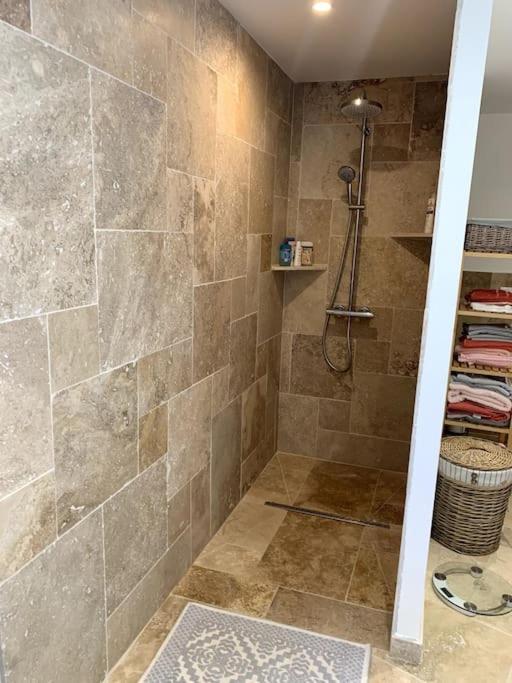 Appartement Bas De Maison Lavilledieu  المظهر الخارجي الصورة